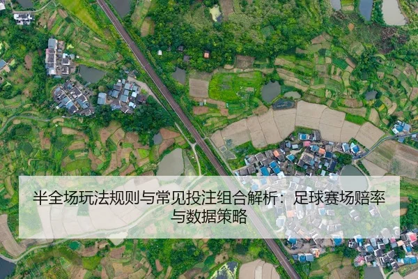 半全场玩法规则与常见投注组合解析：足球赛场赔率与数据策略