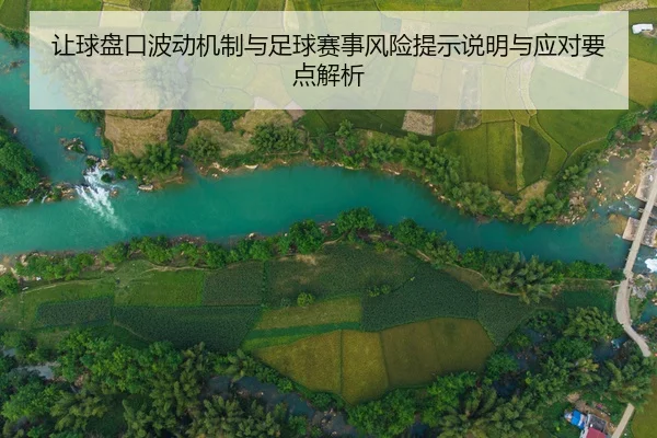 让球盘口波动机制与足球赛事风险提示说明与应对要点解析