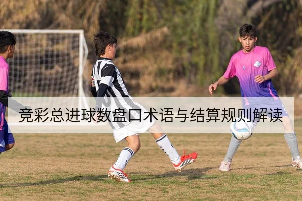 竞彩总进球数盘口术语与结算规则解读